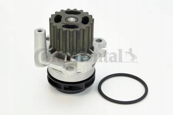 фото №1, Насос води continental ctam