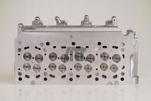 фото №11, Головка двигуна amc 908825