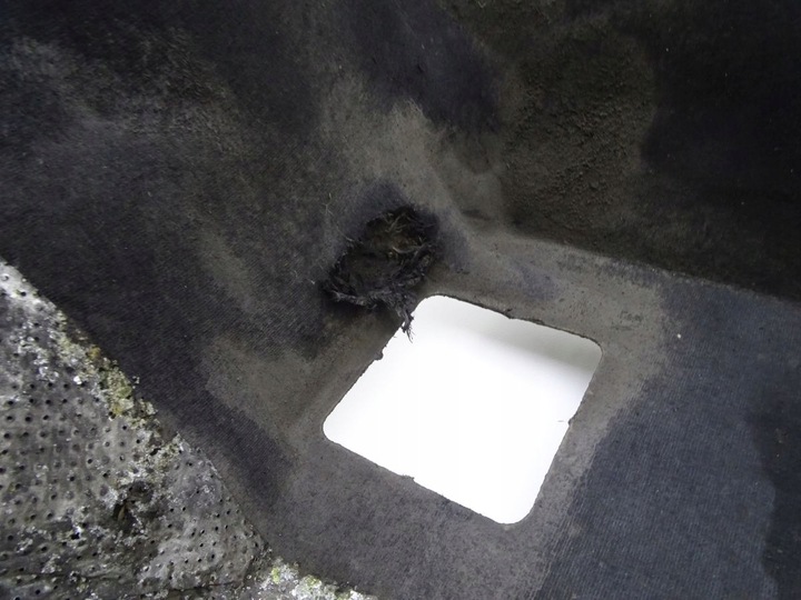 фото №3, Daf lf 45 55 01-13 захист шумоізоляція кабіни камери двигуна