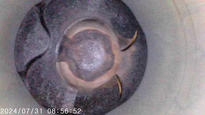 фото №13, Двигун bmw e60 n53b25a 2.5 r6 n53 film