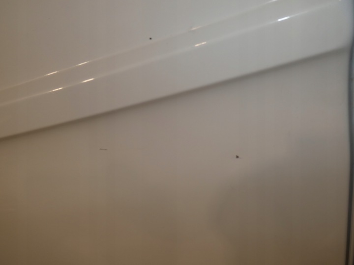 фото №6, Двері ліві зад motyle renault master iv 4 комплект