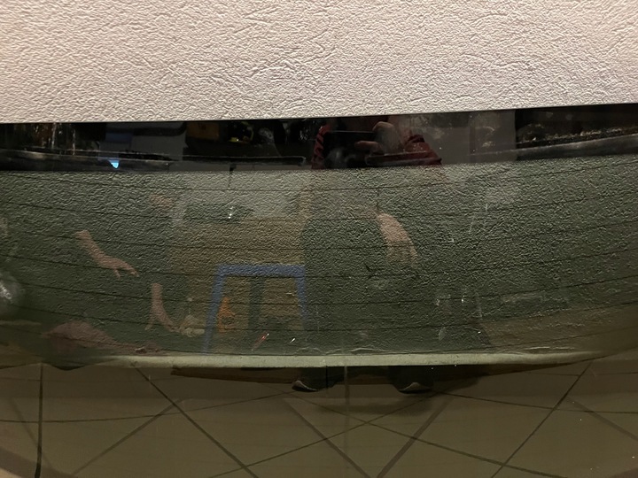 фото №5, Стекло задняя зад hyundai kona