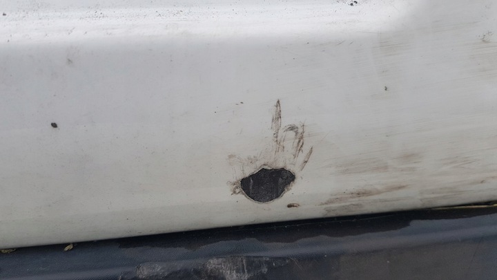 фото №5, Бампер зад pdc ewp/exy citroen ds3