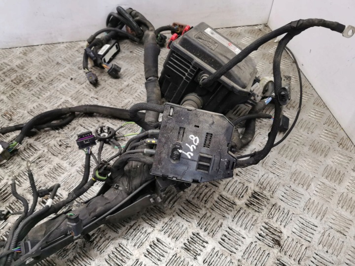 фото №7, Citroen c4 iii e-c4 2021 джгут двигуна 964t086080