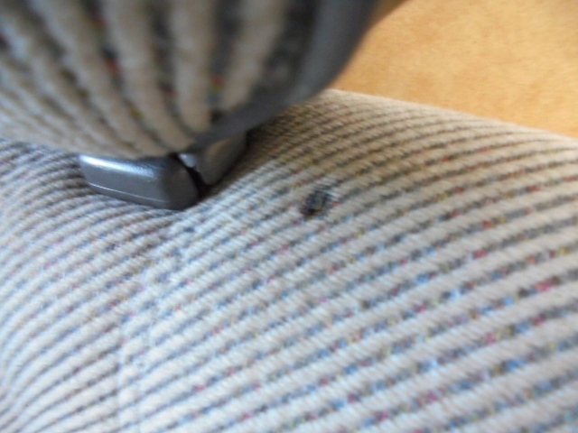 фото №15, Nissan micra k10 сиденье 86-92 3d fl сиденья перед левый правый диван