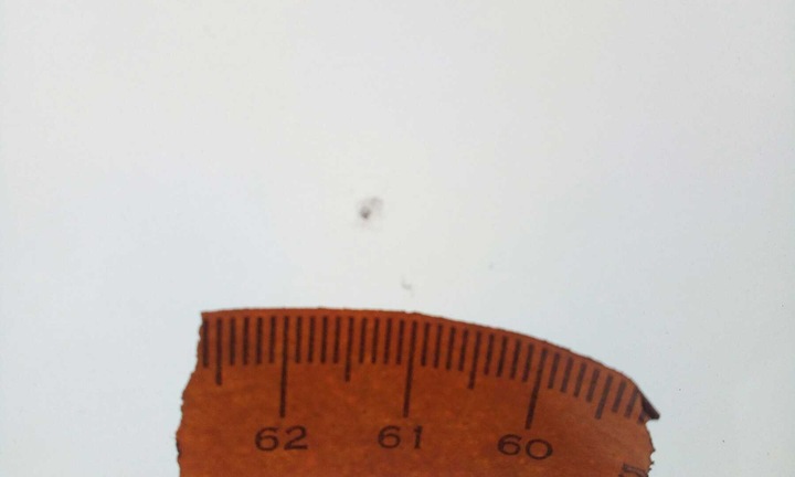 фото №6, Скло лобове subaru forester v 2019- оригінальна