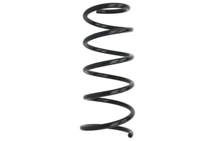 фото №14, Ra6190 spręż. zaw./tył/ dacia duster kyb