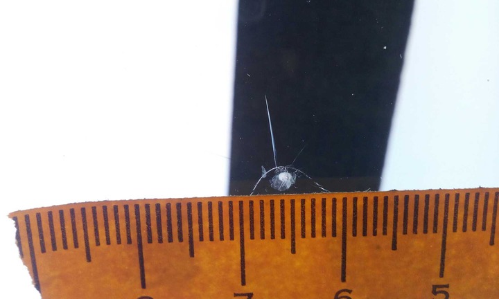 фото №7, Скло лобове vw crafter man tge 2016- оригінальна