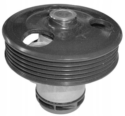 фото №1, Насос воды dolz a214