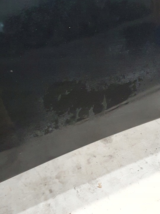 фото №10, Капот audi a6 c5 універсал k: ly9b 02r.