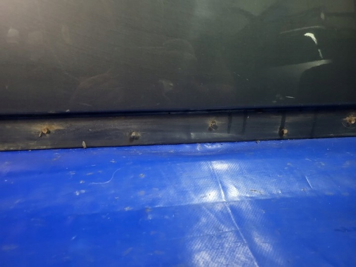 фото №5, Двері лівий зад audi a4 b7