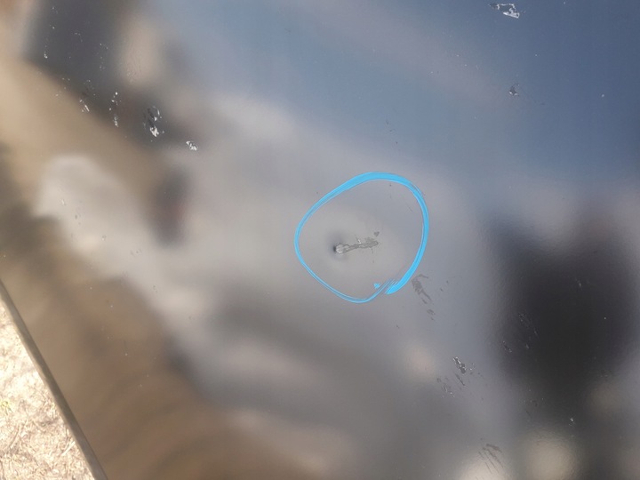 фото №6, Капот renault clio iv 13-