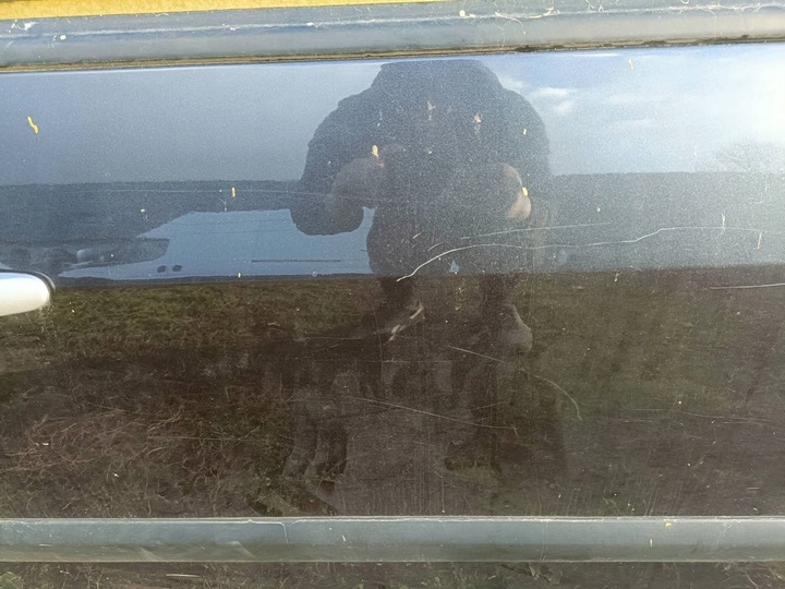 фото №7, Citroen c8 двері лівий зад задні електрично відкривані eyjc