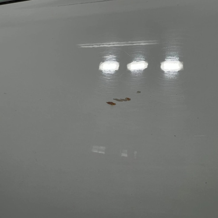 фото №5, Skoda superb ii дверь правые передние перед lf9f