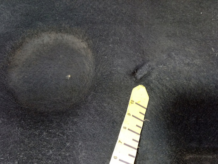 фото №6, Audi a8 d3 шумоизоляция капота 4e0868825l