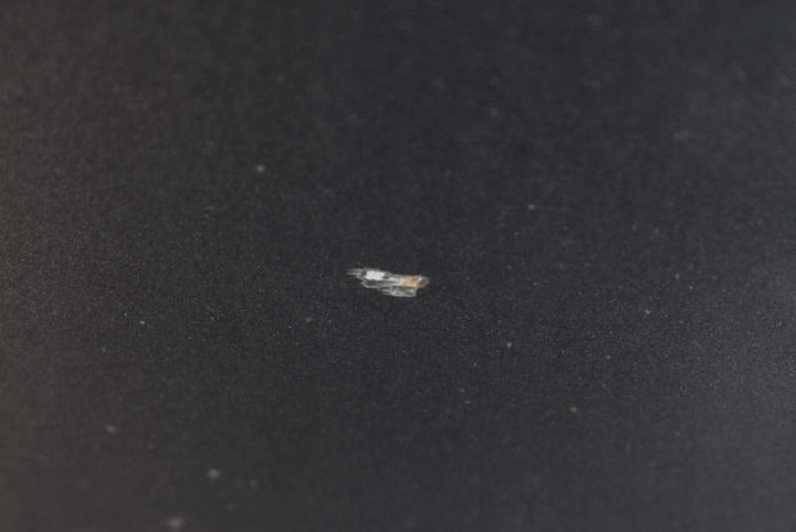 фото №6, Двері праві перед передні nh-737m honda civic 8 viii sedan 07-12