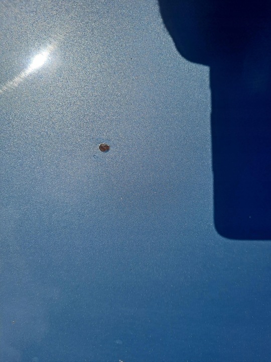 фото №12, Капот кришка двигуна хром saab 9-5 95 рестайлінг