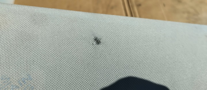 фото №3, Защита lewaposzycie левая стойка передней lexus ct200h ct 200h 11r-