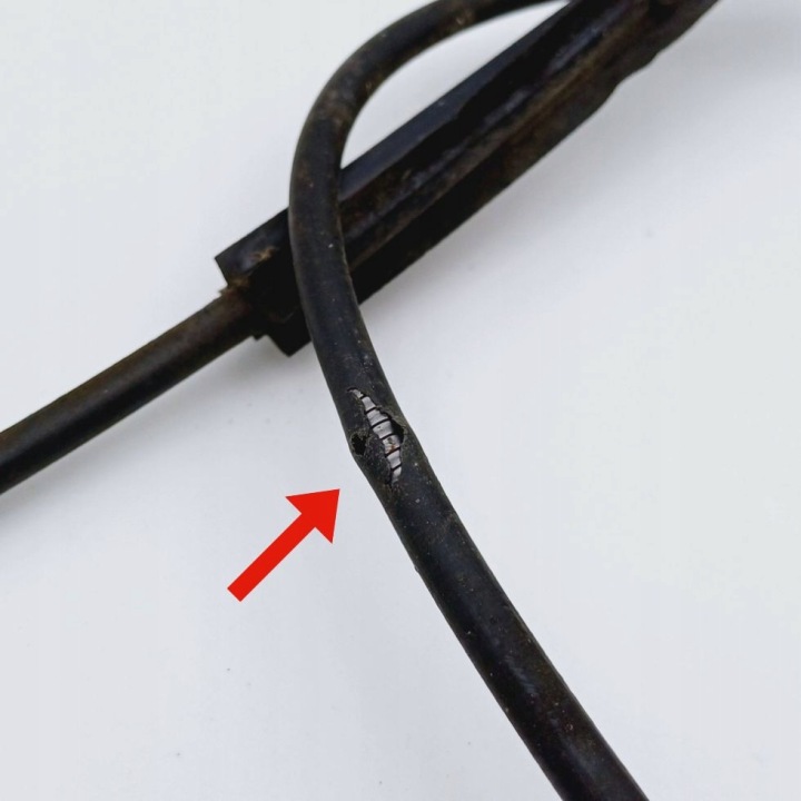 фото №12, Подъемник стекло правое перед audi a4 b5 8 pin 8d0837398c / 8d0959802 nr2247