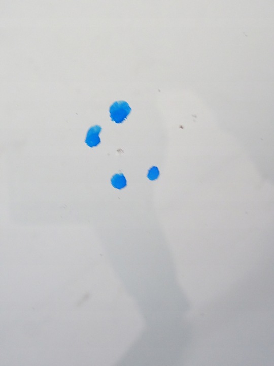 фото №13, Nissan juke рестайлінг f15 скло лобове передня