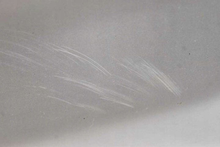 фото №7, Дверь правые зад задние серебристый toyota hilux 7 vii 05-15