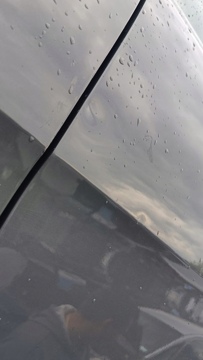 фото №3, Lz7x двері ліві зад задні задні seat altea