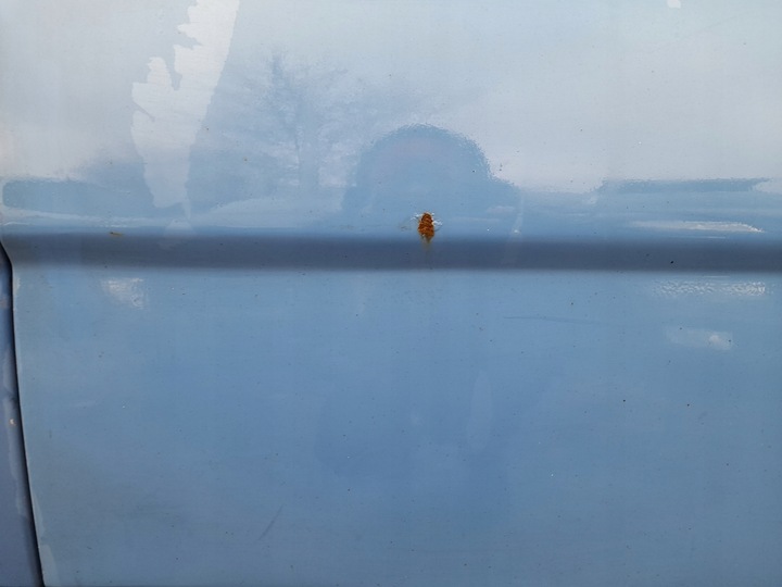 фото №7, Opel vivaro a двері правий перед праві l20p 23u