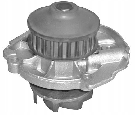 фото №1, Насос воды dolz s261