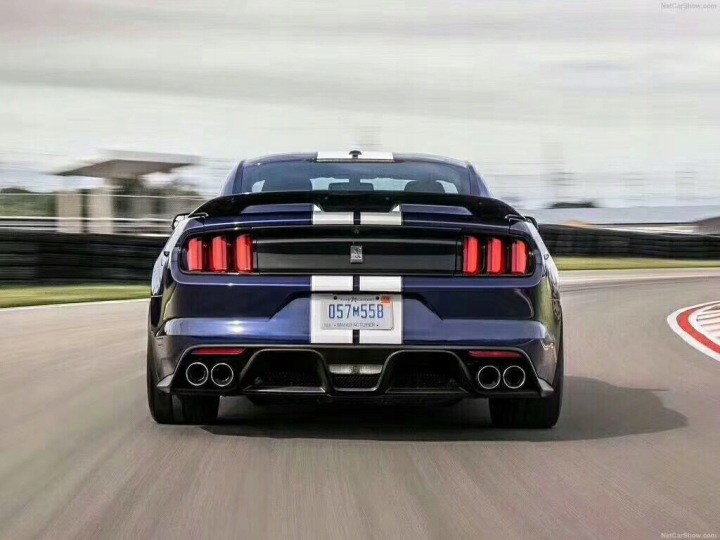 фото №8, Спойлер спойлер - чёрный блеск gt500 ford mustang 2015-2023
