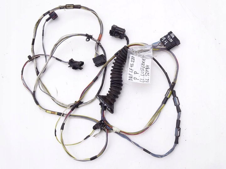 фото №1, Daf lf 45 55 06-13 e4/5 джгут двері права