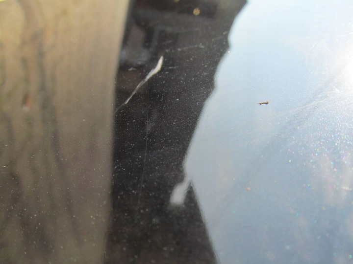 фото №10, Mazda 3 bm 13-18 капот крышка двигателя kol 41w c403