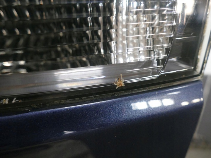 фото №10, Mitsubishi outlander ii кришка багажника скло лампи зад задня синя 37e