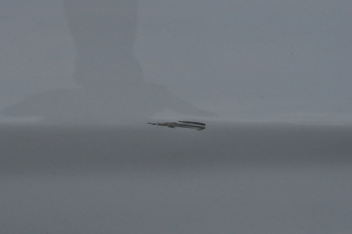 фото №7, Renault zoe рестайлінг двері лівий зад задні