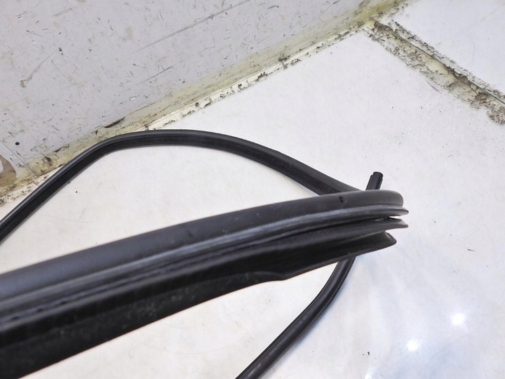 фото №7, Прокладка двері праві зад bmw e61