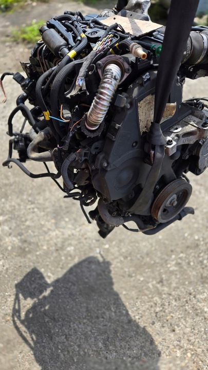 фото №7, Двигатель 9hx 9hz 9h01 9h02 citroen berlingo 1.6hdi