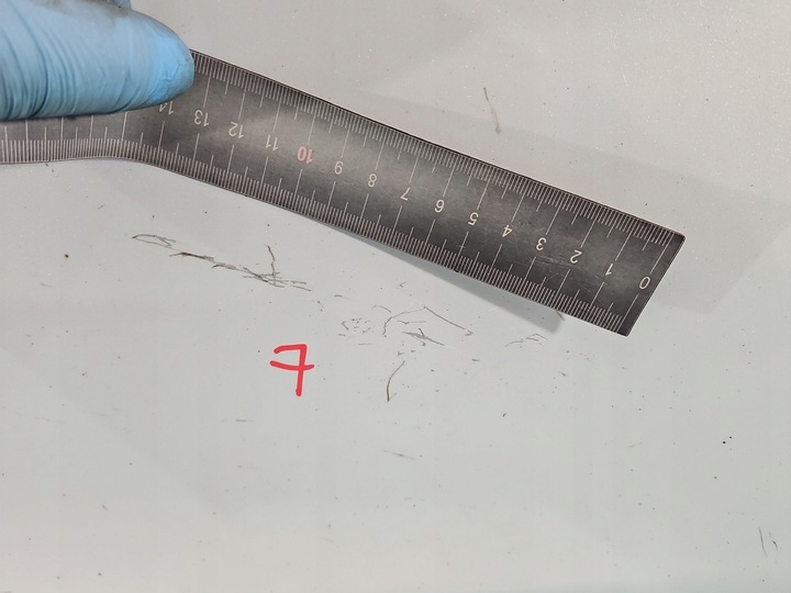 фото №10, Двері перед праві tesla модель 3 17-23 білий ppsw