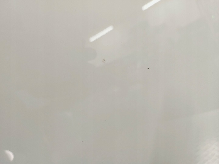 фото №11, Mercedes-benz a w177 2019 крышка передняя / капот двигателя