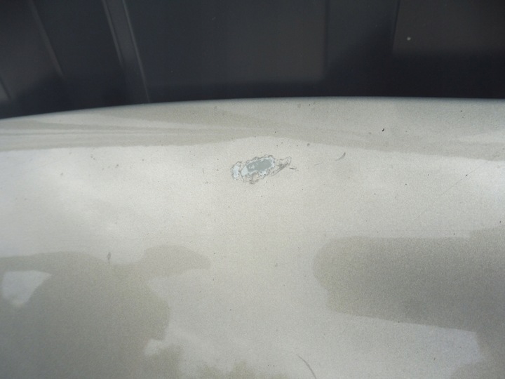 фото №6, Kia sportage iii капот кришка двигуна