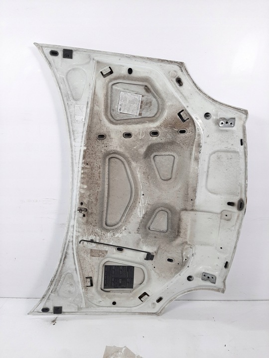 фото №10, Renault kangoo експрес рестайлінг 05r капот код 0389