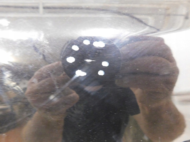 фото №5, Дверь перед левая z20r opel astra h 1.8b 04r