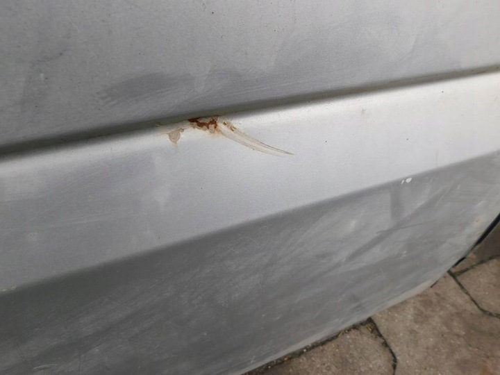 фото №7, Ford transit mk5 v 2003r двері лівий зад