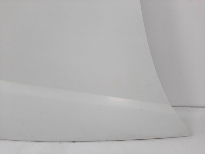 фото №7, Renault kangoo експрес рестайлінг 05r капот код 0389