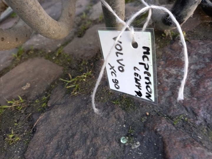 фото №7, Mcperson левый правый перед volvo xc90