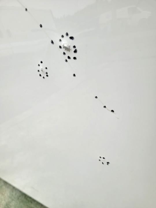 фото №6, Капот mercedes eqc 2019-23