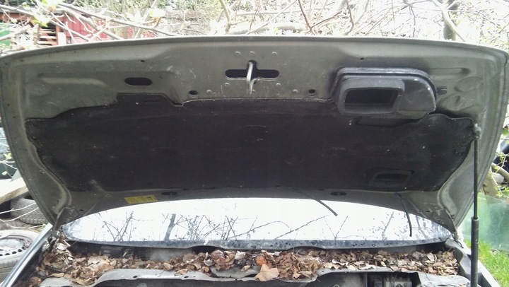 фото №6, Капот volvo v50 s40 c30 дверь цвет 455-46 466-46 крышка двигателя