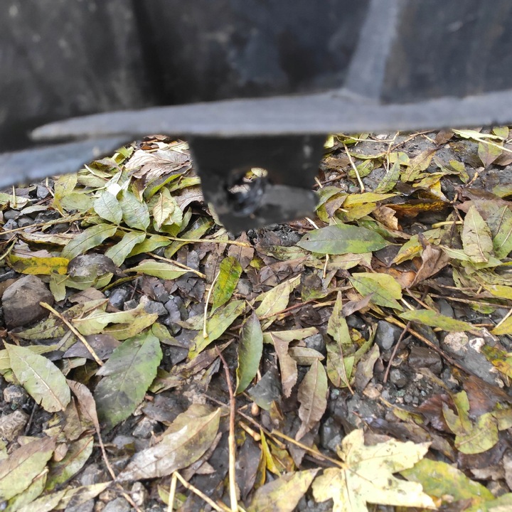 фото №13, Бампер переднє перед seat leon i toledo ii