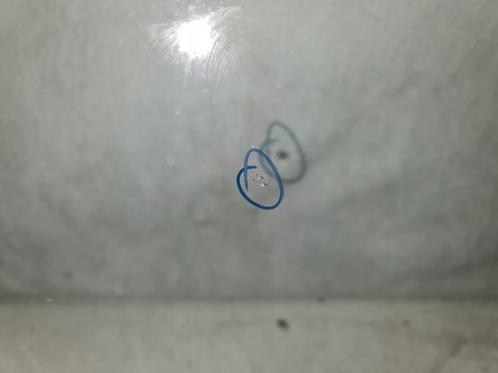 фото №2, Скло лобове toyota c-hr 2019r d6 оригінал камера