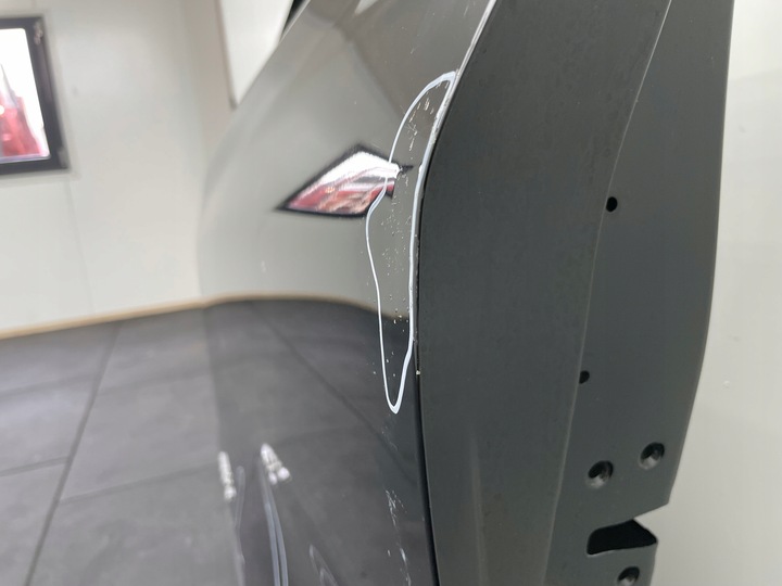 фото №13, Ford mustang mach e mach-e двері перед ліві передні