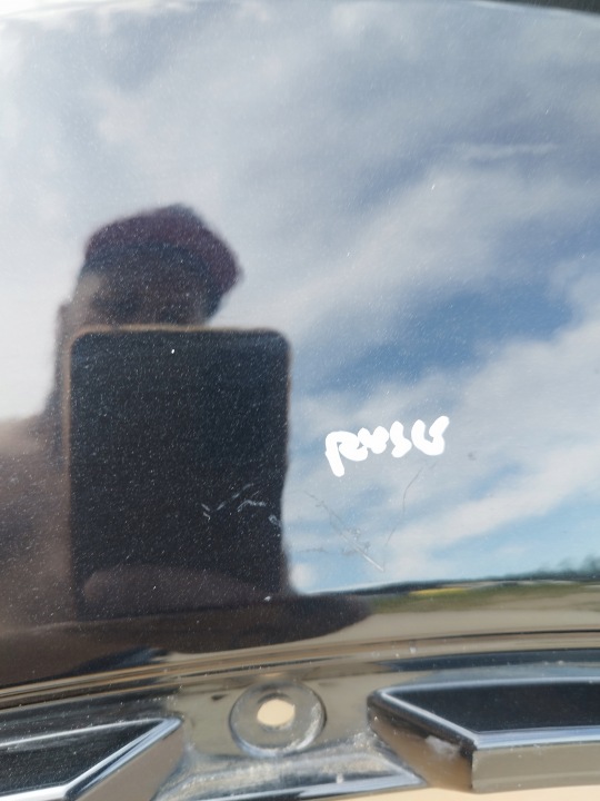 фото №7, Крыло левые перед ford kuga i mk1 годы 2008-2012 цвет f8