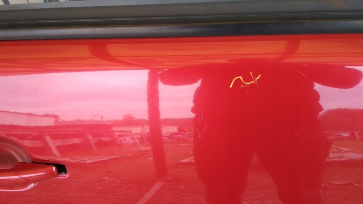 фото №7, Двері праві передні peugeot 3008 i 09-16 ory права